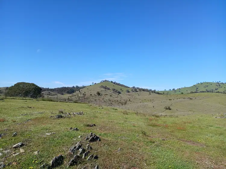 Seventh view of Homely rural property listing, Lot 161 Eldridges Lane, Taylors Flat NSW 2586