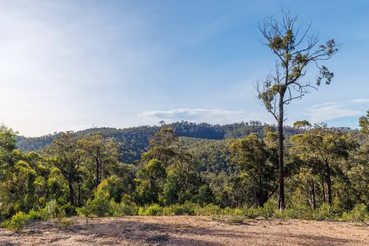 Seventh view of Homely rural property listing, 156 Silver Top Crs, Nullica Via, Eden NSW 2551