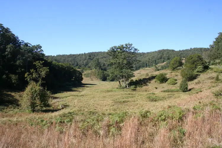 Lot 242 Galbraiths Road, Bellangry NSW 2446