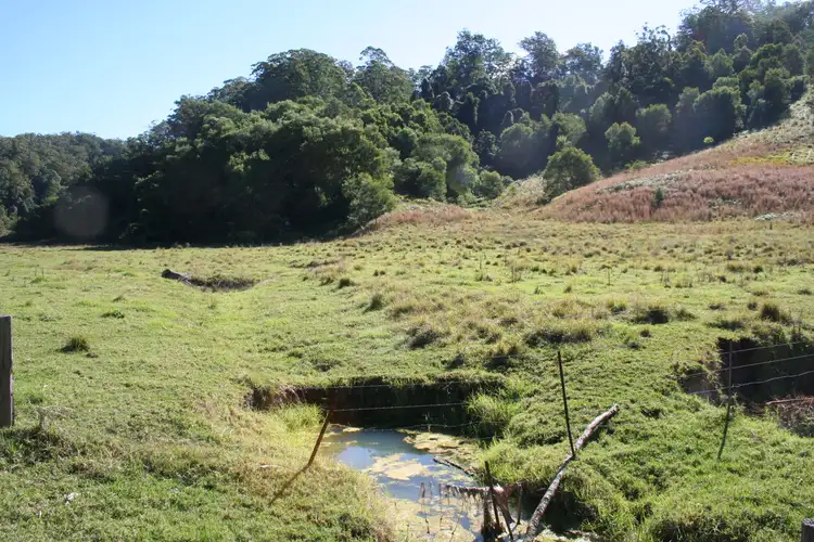 Seventh view of Homely rural property listing, Lot 242 Galbraiths Road, Bellangry NSW 2446