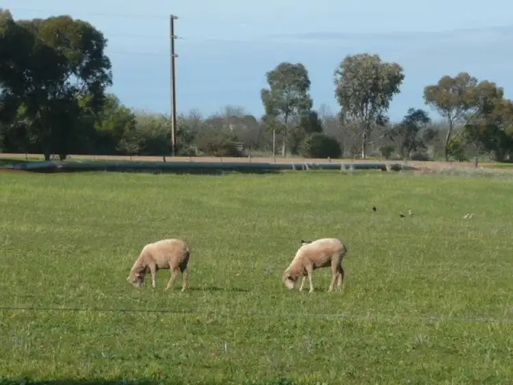 Lot 40 Brogan Road, Jamestown SA 5491