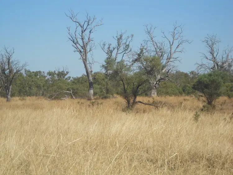 Second view of Homely land listing, Lot 176 Muster Drive, Napperby SA 5540