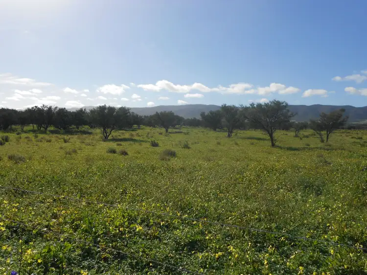 Second view of Homely land listing, Lot 181 Government Road, Napperby SA 5540
