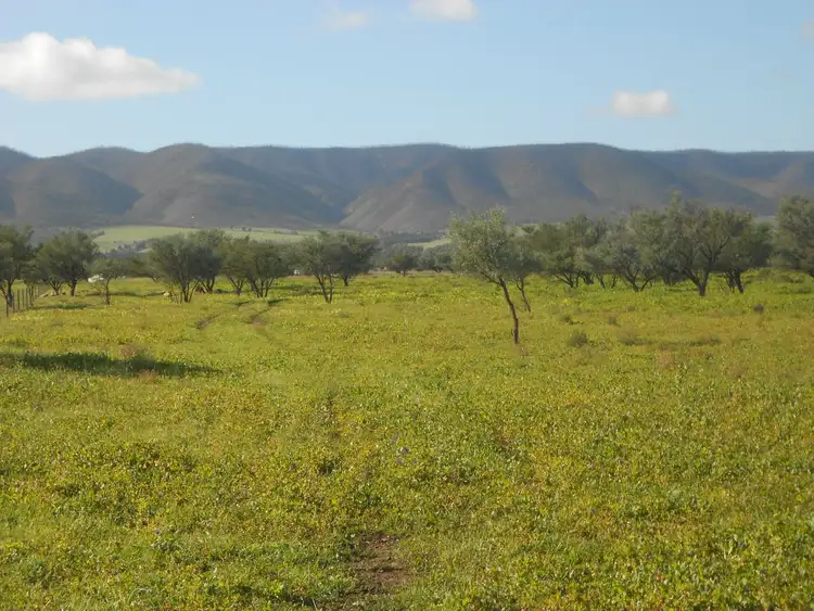 Third view of Homely land listing, Lot 181 Government Road, Napperby SA 5540