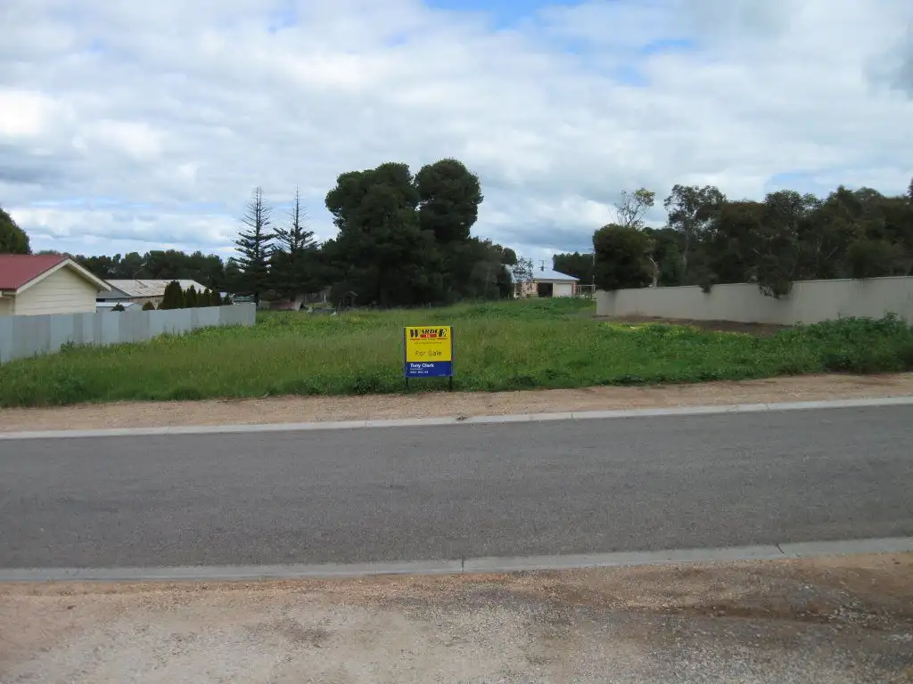 Main view of Homely land listing, 3 Elias Street, Maitland SA 5573
