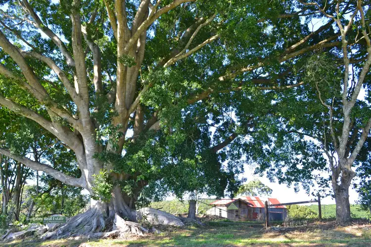 Sixth view of Homely house listing, 219 James Gibson Road, Clunes NSW 2480