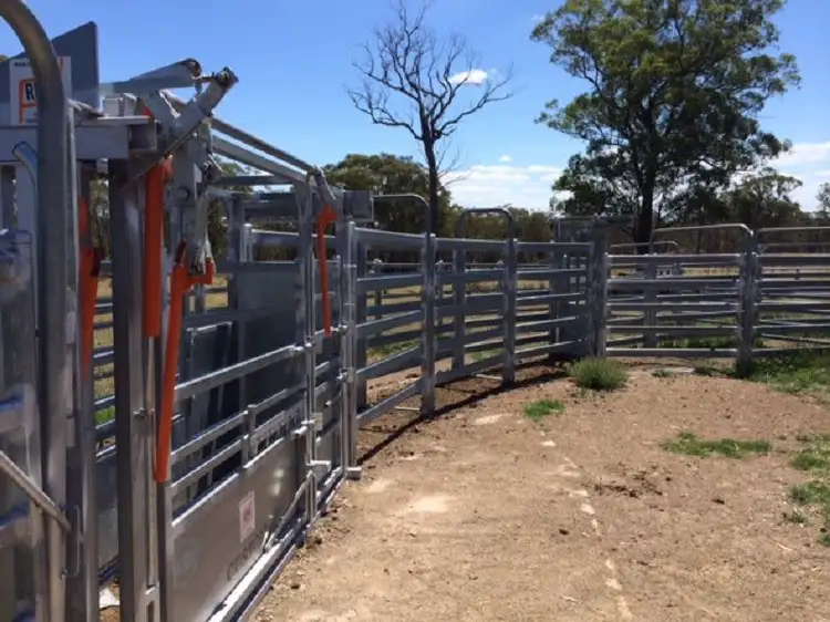 Seventh view of Homely land listing, Lot 59 Cattarin Lane, Liston NSW 2372