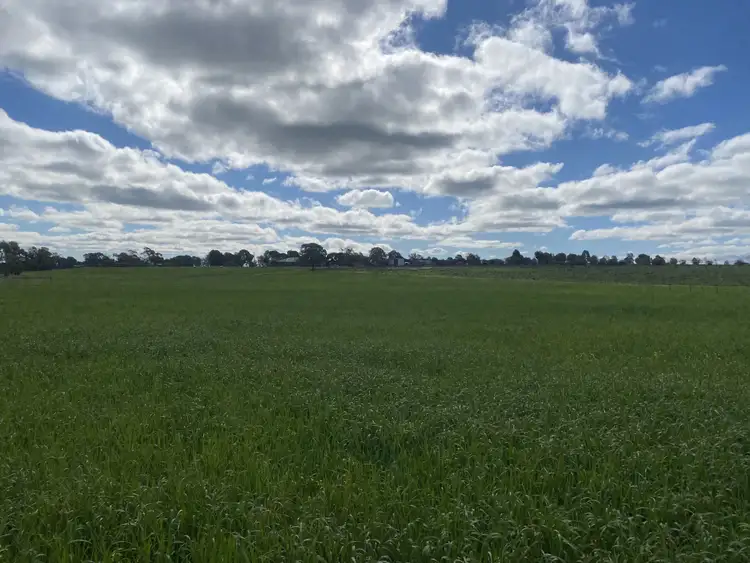 Fourth view of Homely land listing, Lot 3 RF Nicholls Drive, Crystal Brook SA 5523
