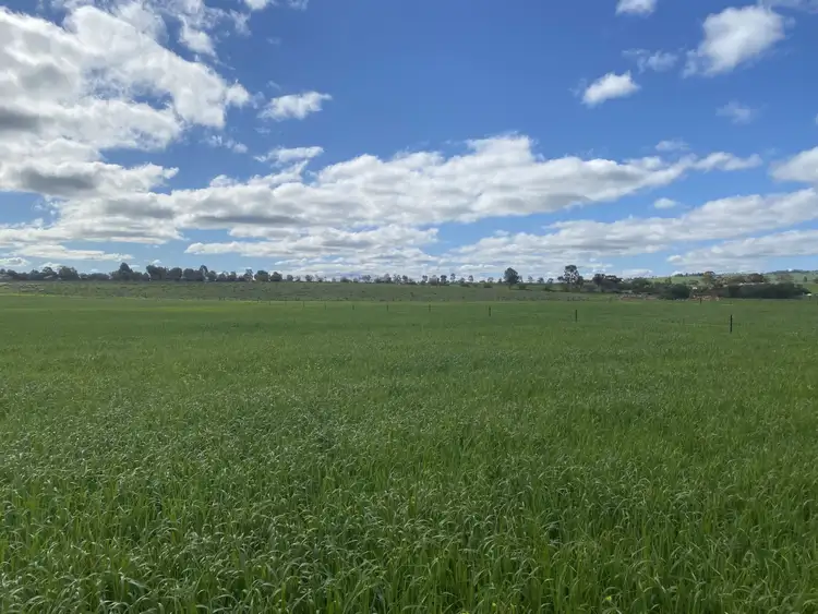 Fifth view of Homely land listing, Lot 3 RF Nicholls Drive, Crystal Brook SA 5523