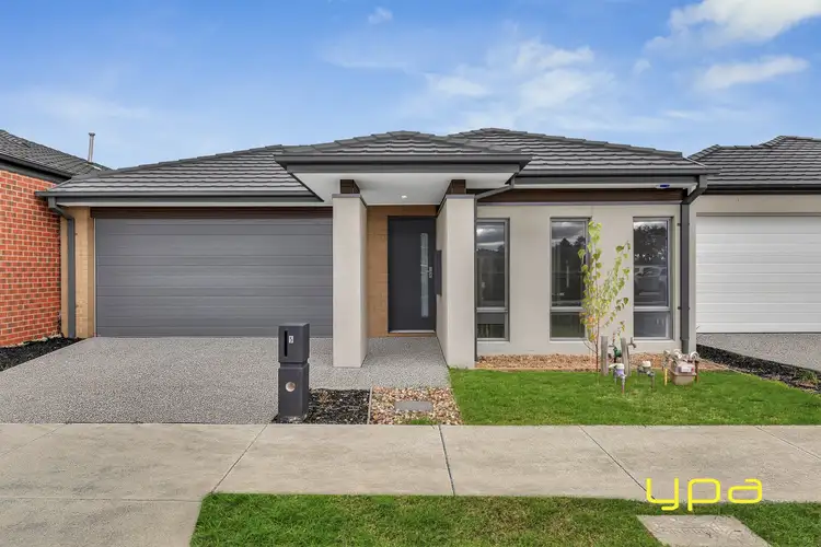 5 Bushranger Circuit