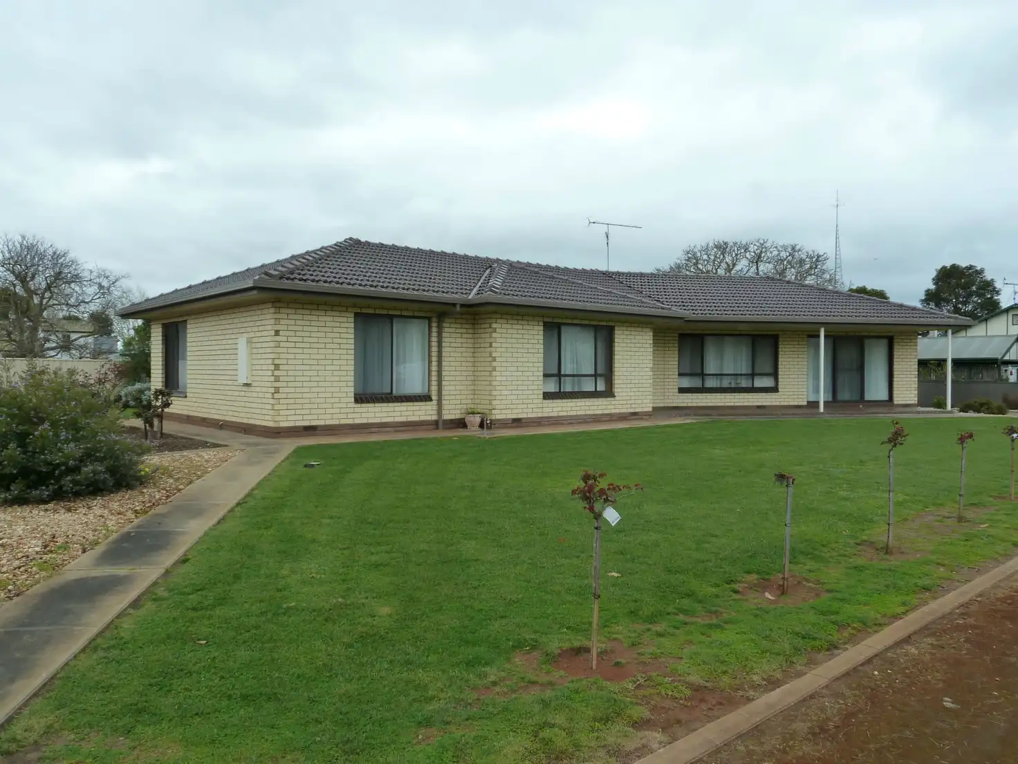 Main view of Homely house listing, 31 Young Street, Penola SA 5277
