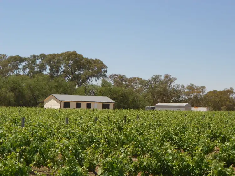 6 Beetaloo Road, Laura SA 5480