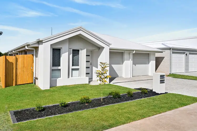 3-34 Tristania St