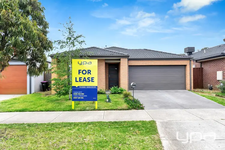 21 Heywood St