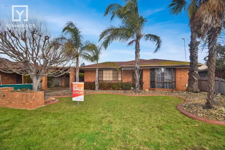 5 Jacobson Street