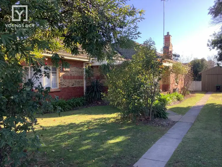 165 Nixon Street