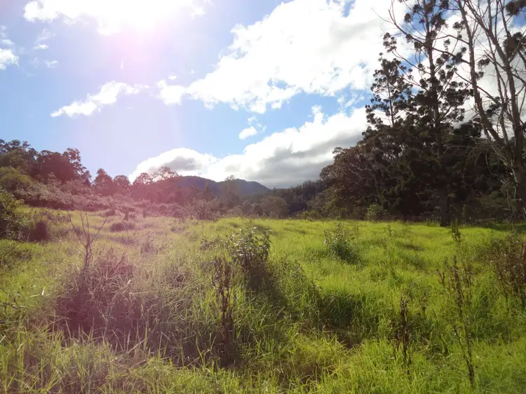Second view of Homely rural property listing, Lot 14 Gradys Creek Road, Kyogle NSW 2474