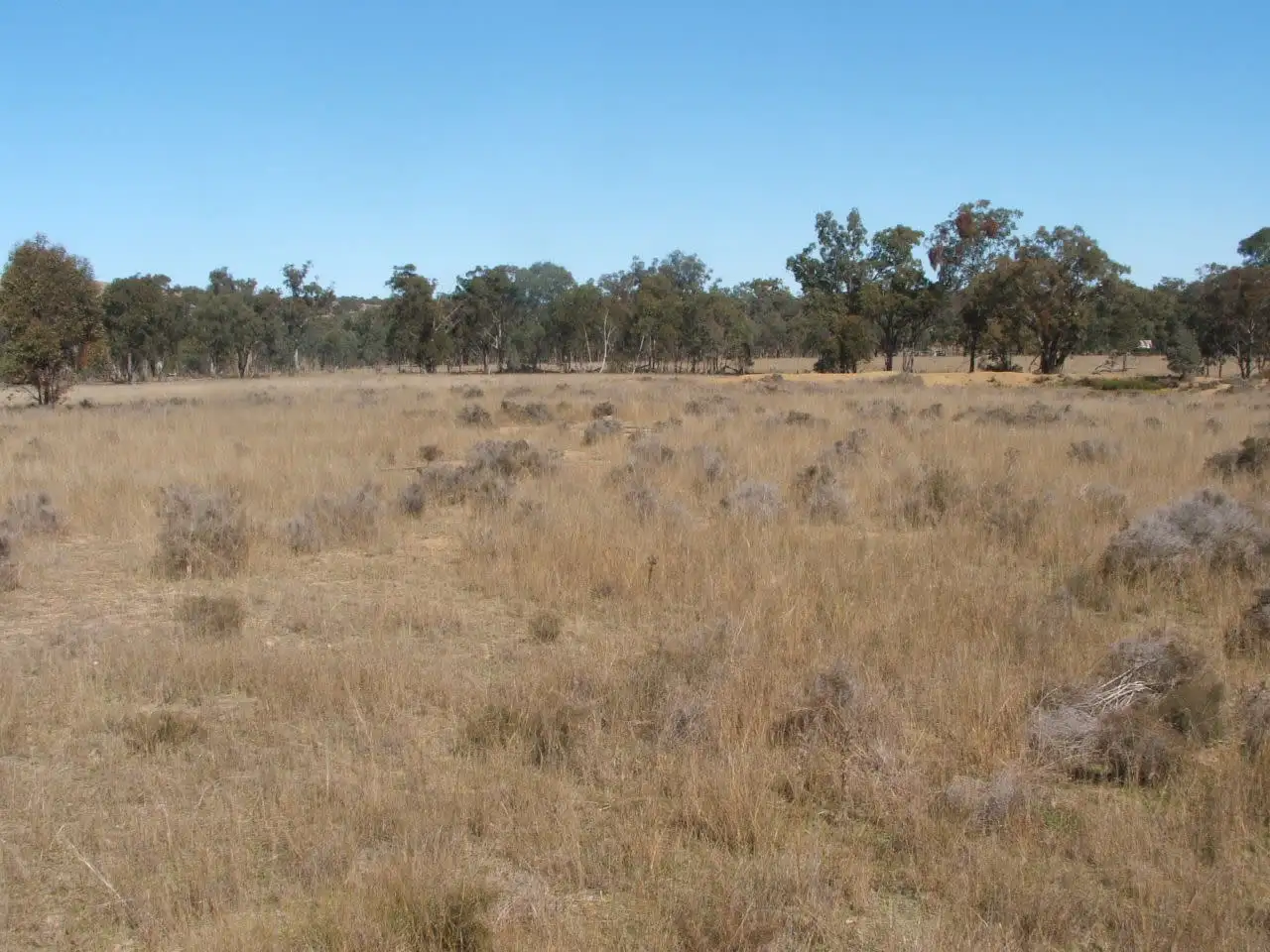 Main view of Homely rural property listing, Lot 2 Reedy Creek Road, Karara QLD 4352