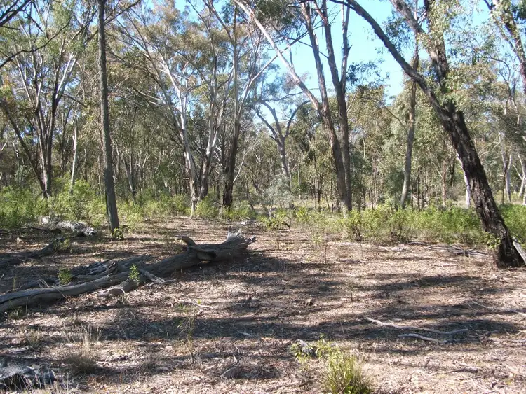 Fourth view of Homely rural property listing, Lot 2 Reedy Creek Road, Karara QLD 4352