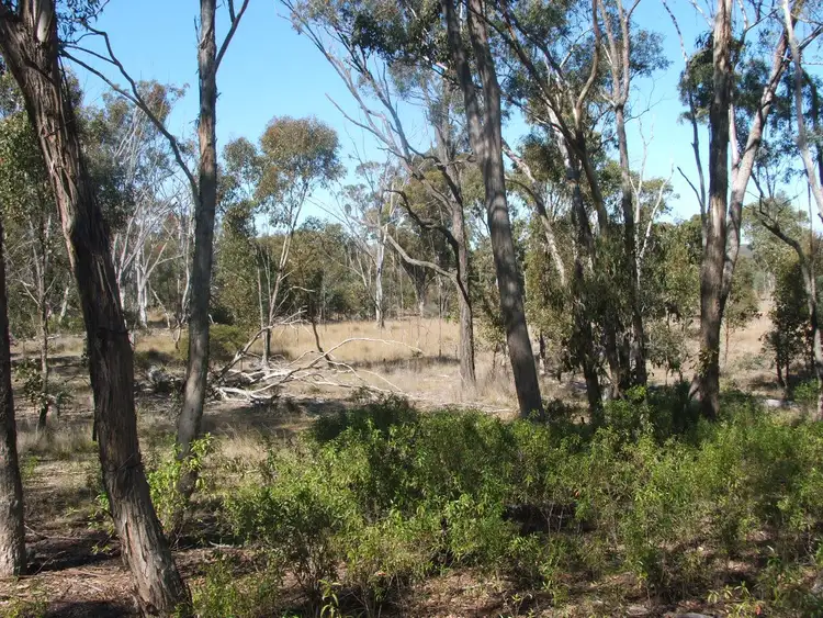 Fifth view of Homely rural property listing, Lot 2 Reedy Creek Road, Karara QLD 4352