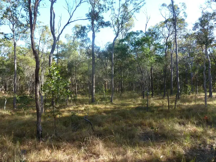 Fifth view of Homely land listing, Lot 1 Bidwill Road, Maryborough QLD 4650