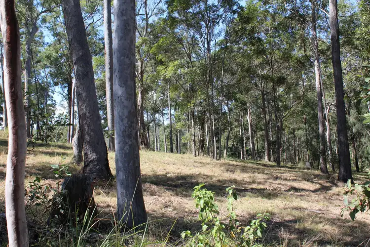 Third view of Homely land listing, Lot 3 Stottenville Road, Bauple QLD 4650