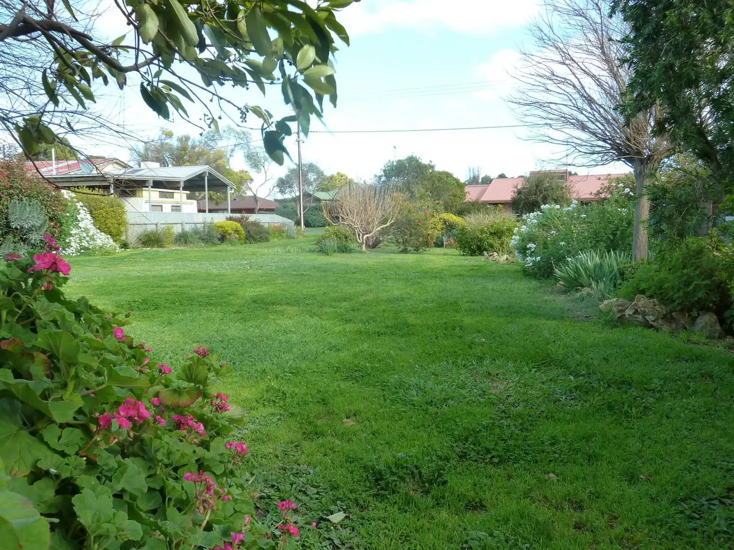Main view of Homely land listing, 7 Queen Street, Penola SA 5277