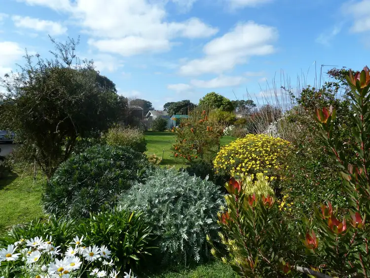 Third view of Homely land listing, 7 Queen Street, Penola SA 5277