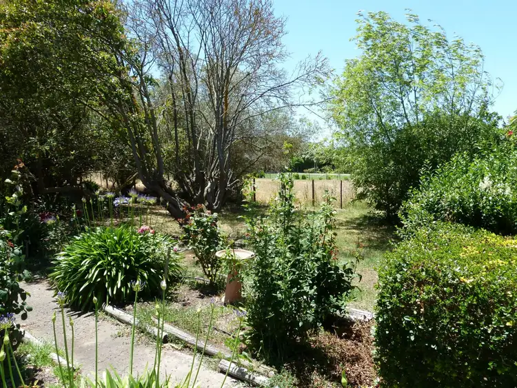 Third view of Homely house listing, 16 South Terrace, Penola SA 5277
