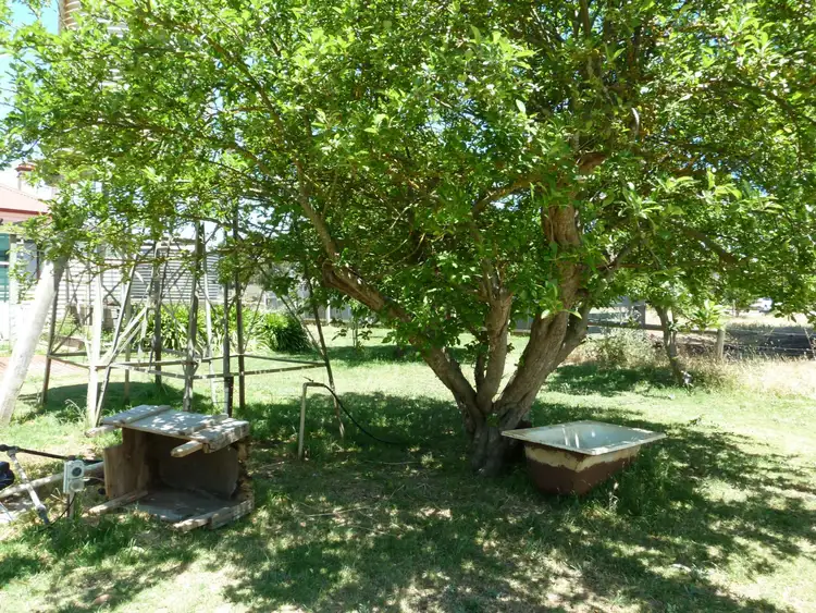 Sixth view of Homely house listing, 16 South Terrace, Penola SA 5277