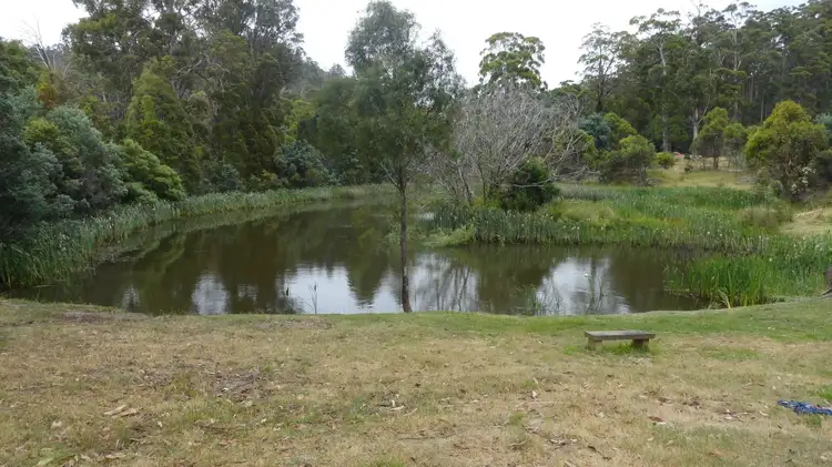 Main view of Homely house listing, 351 English Town Road, Deddington TAS 7212