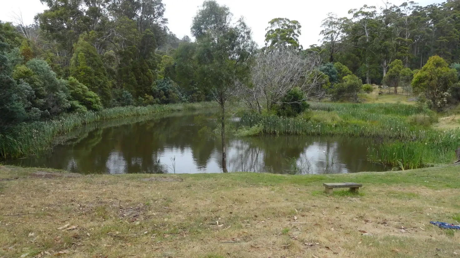 Main view of Homely house listing, 351 English Town Road, Deddington TAS 7212