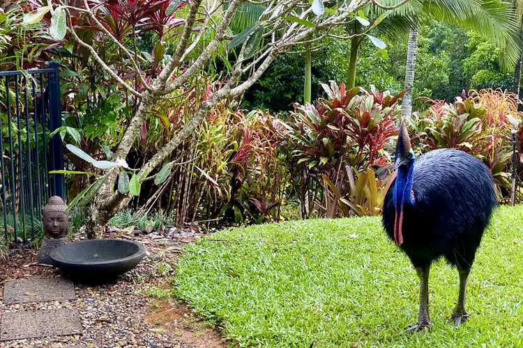 Second view of Homely house listing, 1/627 Bingil Bay Road, Bingil Bay QLD 4852