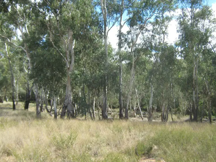 Second view of Homely rural property listing, Lot 4 Spicers Creek Road, Elong Elong NSW 2831