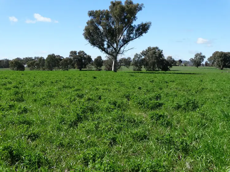 Main view of Homely rural property listing, 96 Lindner Road, Jindera NSW 2642
