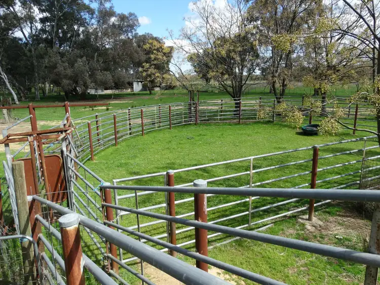 Fourth view of Homely rural property listing, 96 Lindner Road, Jindera NSW 2642