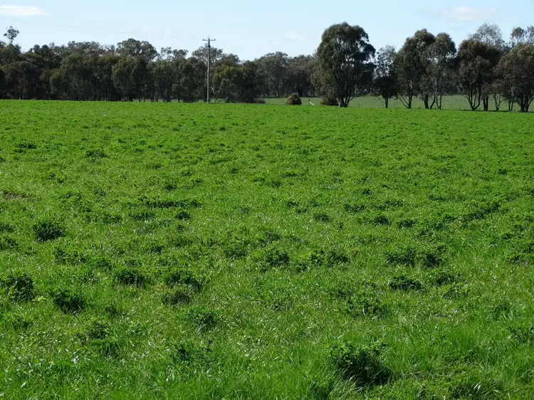 Fifth view of Homely rural property listing, 96 Lindner Road, Jindera NSW 2642