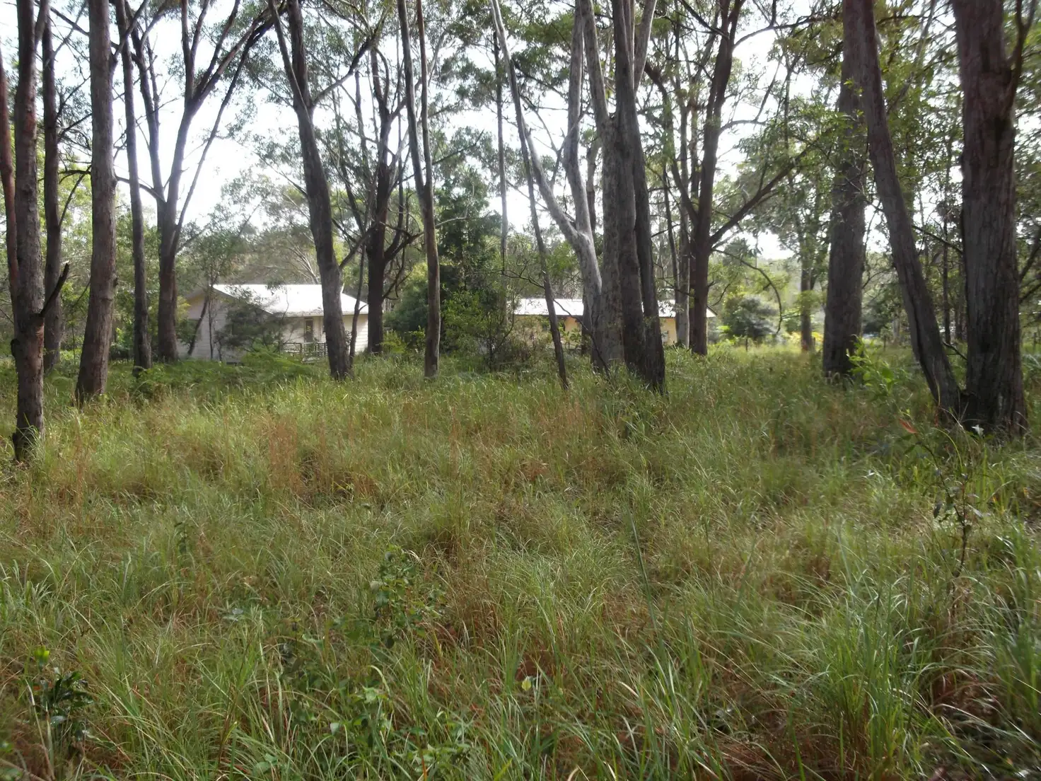 Main view of Homely land listing, 14 Toolona Avenue, Russell Island QLD 4184