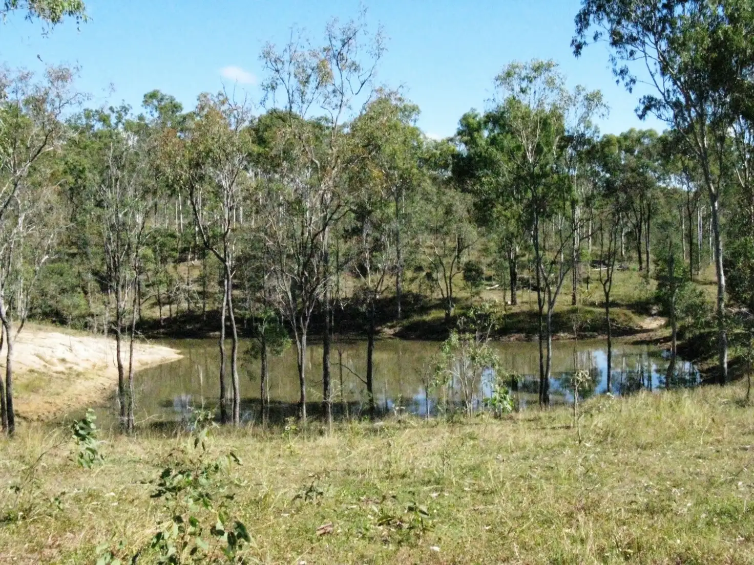 Main view of Homely rural property listing, 252 Rickards Road, Kolonga QLD 4671