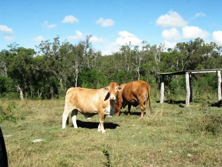 Third view of Homely rural property listing, 252 Rickards Road, Kolonga QLD 4671