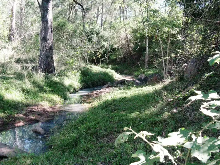 Fourth view of Homely rural property listing, 252 Rickards Road, Kolonga QLD 4671