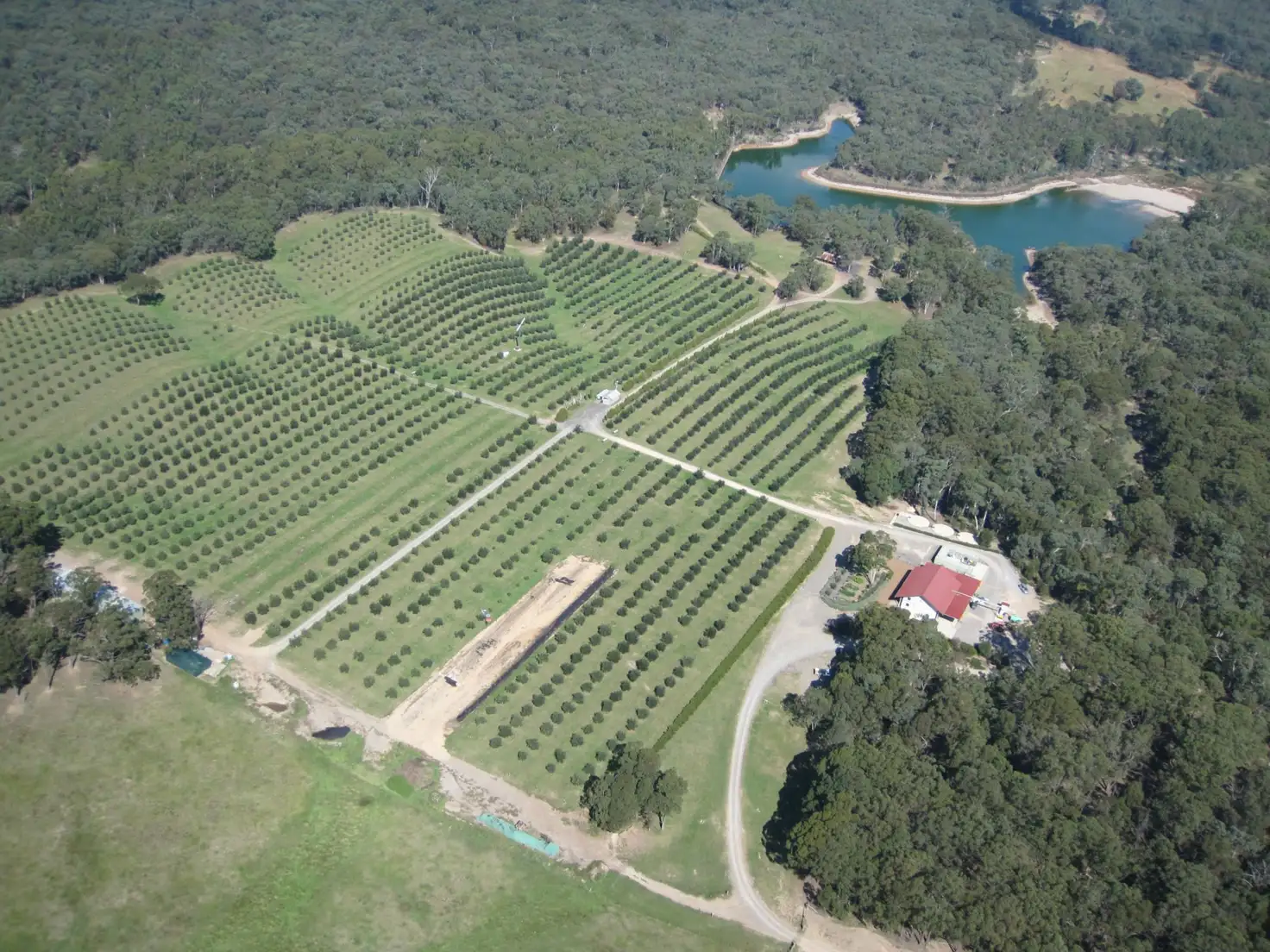 Main view of Homely rural property listing, 387 Nevells St, Rylstone NSW 2849