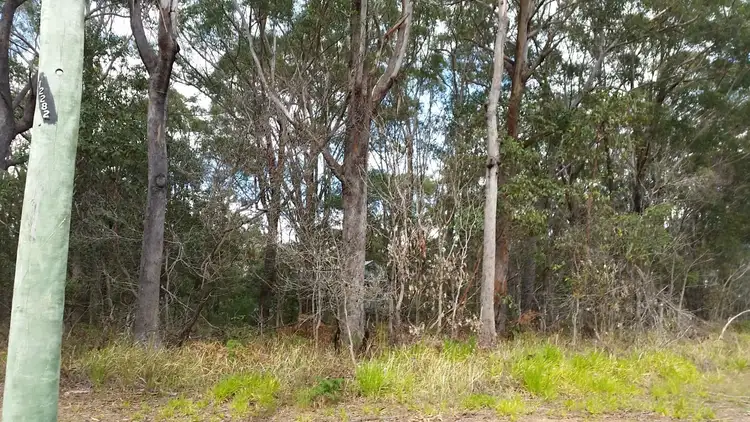 Third view of Homely land listing, 24 Darwallah Avenue, Russell Island QLD 4184
