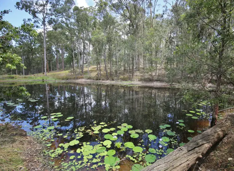 Sixth view of Homely land listing, 16 Ces Rivers Road, Tamaree QLD 4570