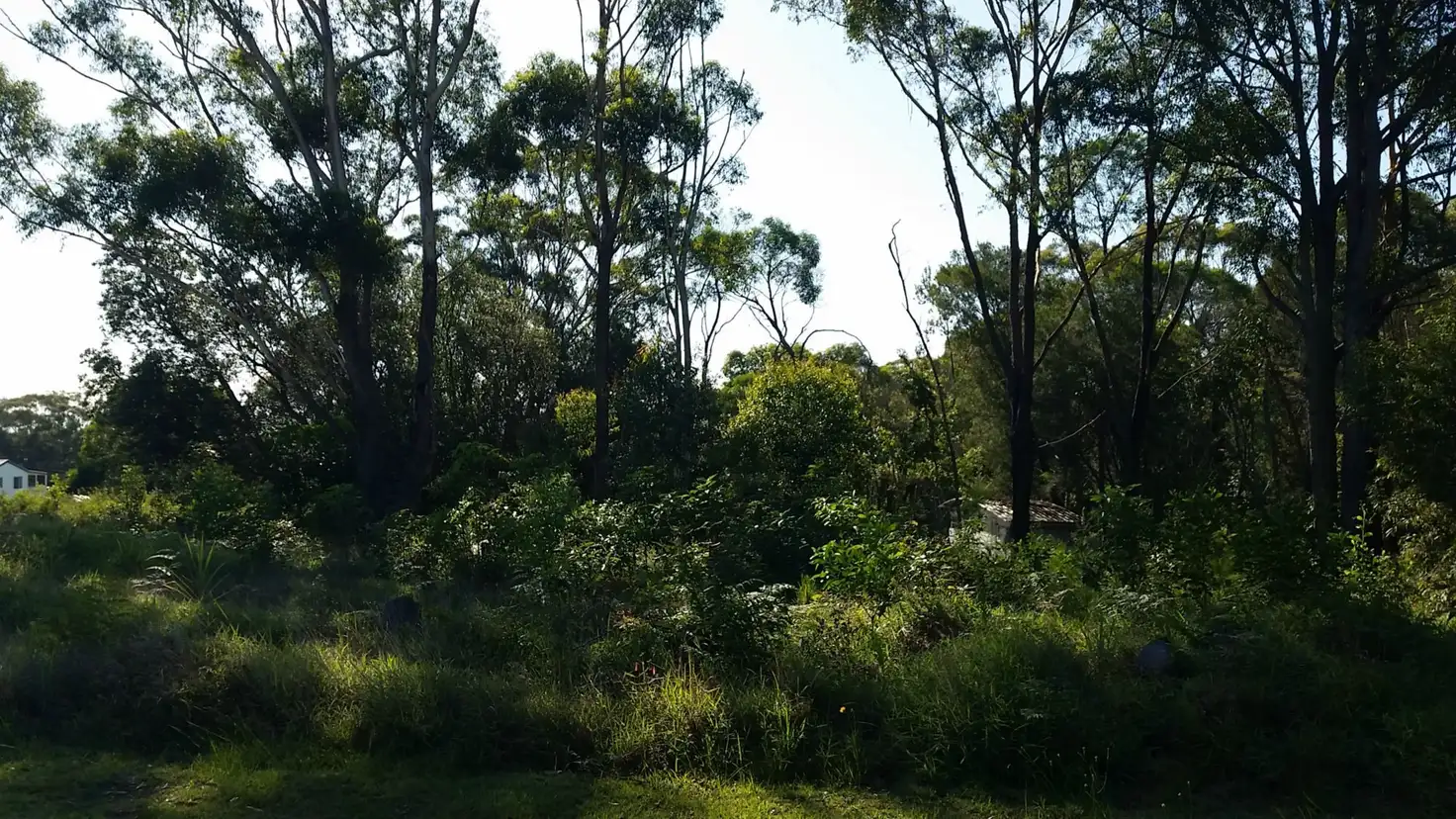 Main view of Homely land listing, 4 Acalypha Street, Russell Island QLD 4184