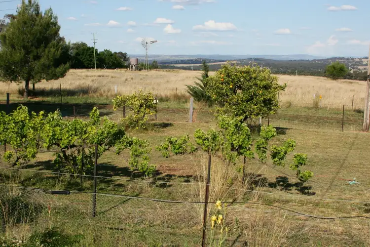 Seventh view of Homely rural property listing, 133 Dogtrap Lane, Inverell NSW 2360