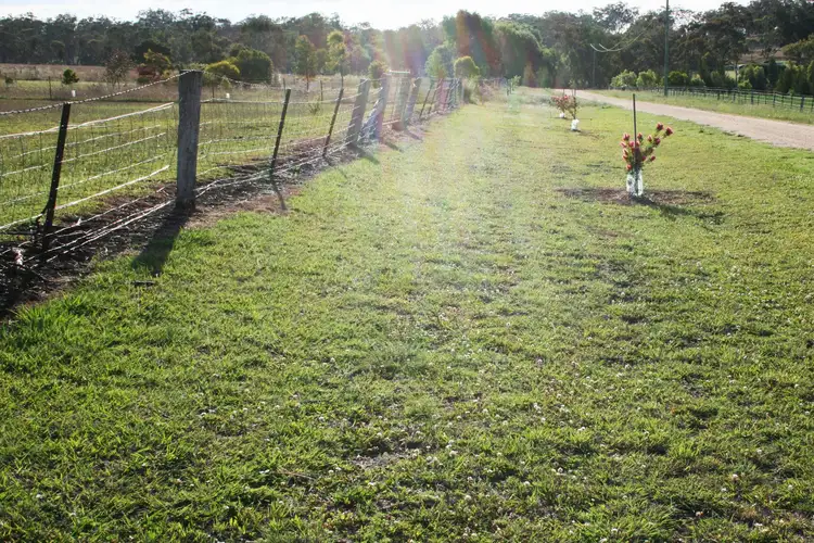 Fifth view of Homely rural property listing, 133 Dogtrap Lane, Inverell NSW 2360
