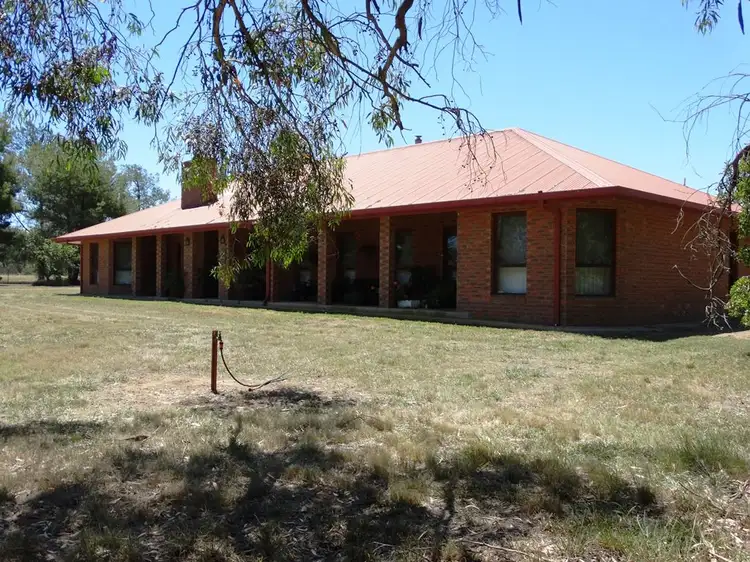 Main view of Homely rural property listing, 1005 Bethel Road, Gerogery NSW 2642