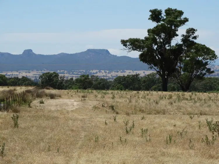 Second view of Homely rural property listing, 1005 Bethel Road, Gerogery NSW 2642