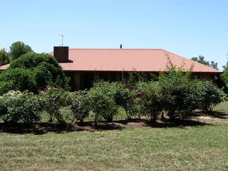 Fifth view of Homely rural property listing, 1005 Bethel Road, Gerogery NSW 2642